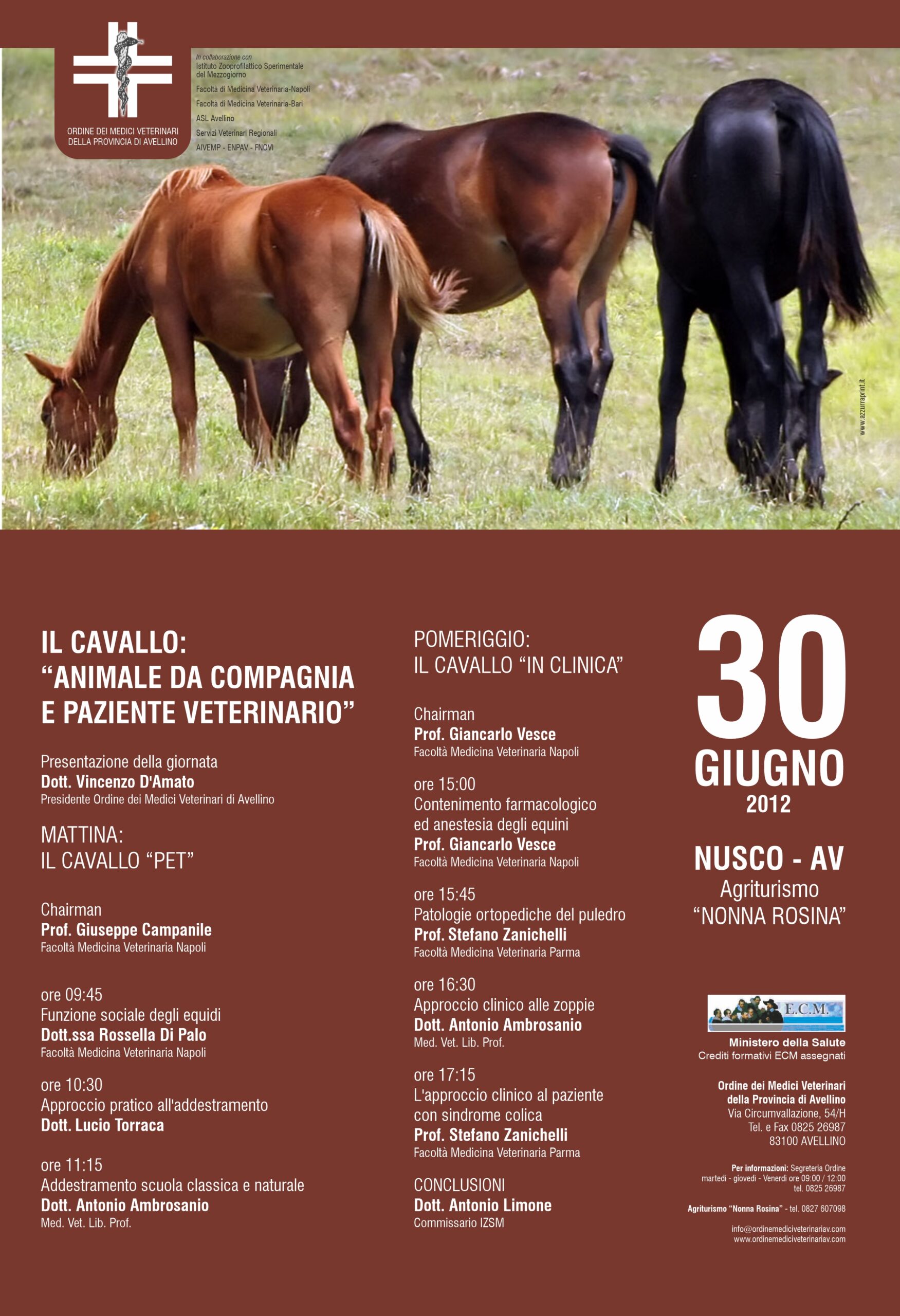 IL CAVALLO: “ANIMALE DA COMPAGNIA E PAZIENTE VETERINARIO”